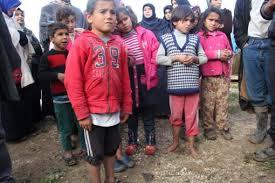 Syrian brothers with SHARE